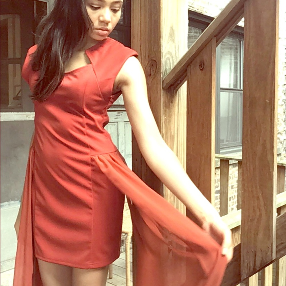 Rust Cocktail Dress - Picture 4 of 10